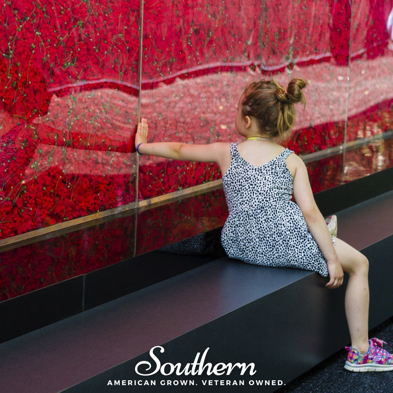 Load image into Gallery viewer, Red Poppy – 100 Seeds
