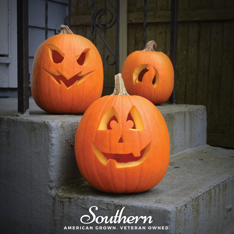 Load image into Gallery viewer, Jack O Lantern Pumpkin – 20 Seeds
