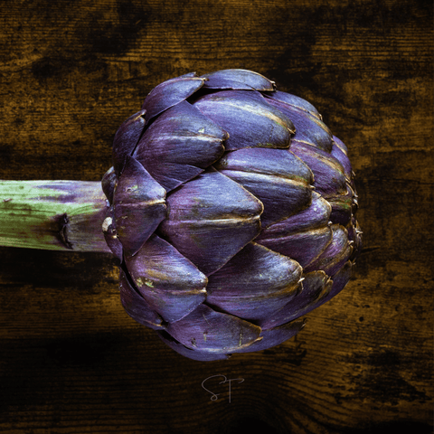 Purple Romagna Artichoke 25 Seeds