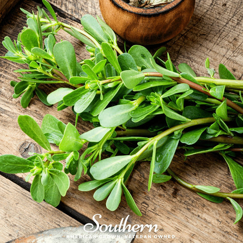 Purslane seeds package, 100 count, GrowTime Garden Supply