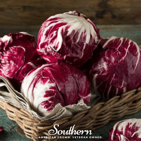 Palla Rossa Radicchio 100 Seeds
