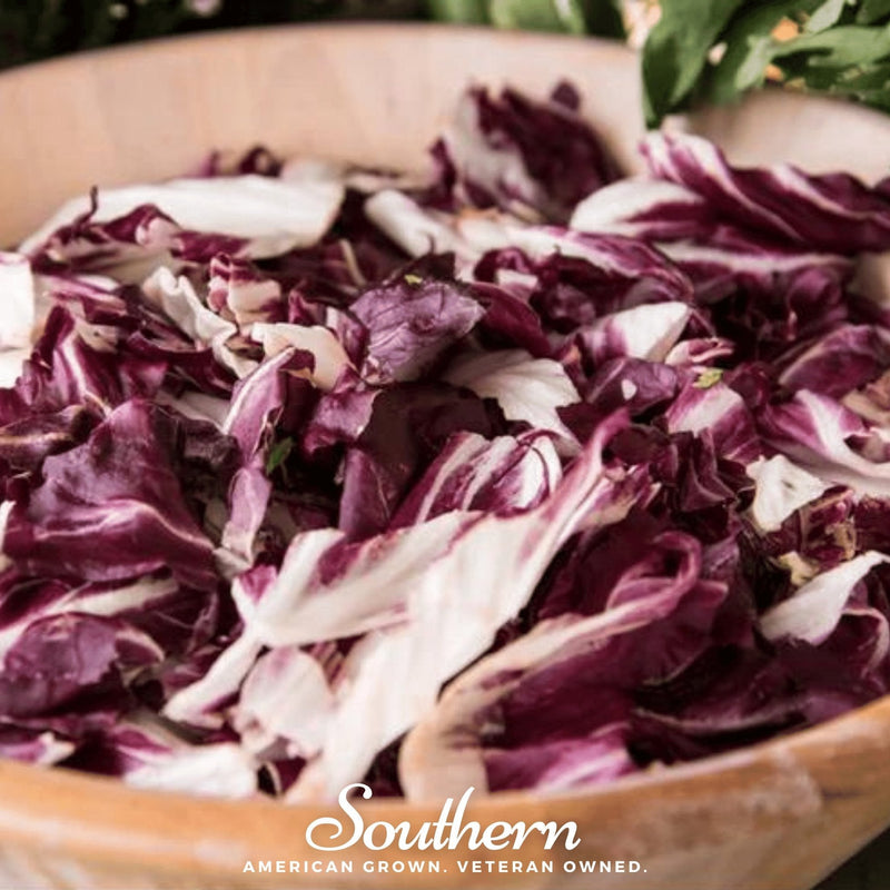 Load image into Gallery viewer, Palla Rossa Radicchio – 100 Seeds

