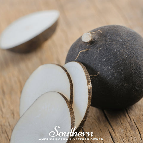 Black Spanish Radish – 250 Seeds, additional product view 2