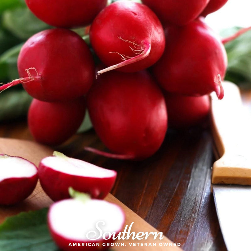 Load image into Gallery viewer, Crimson Giant Radish – 100 Seeds
