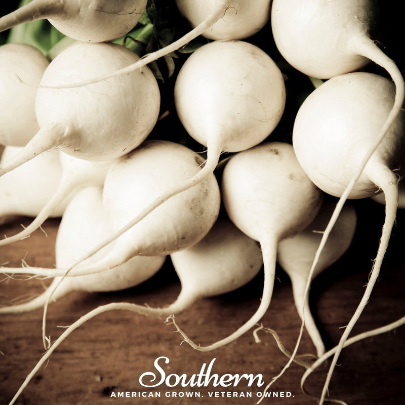 Load image into Gallery viewer, Hailstone Radish – 100 Seeds
