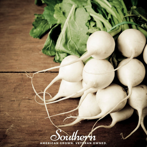 Hailstone Radish 100 Seeds