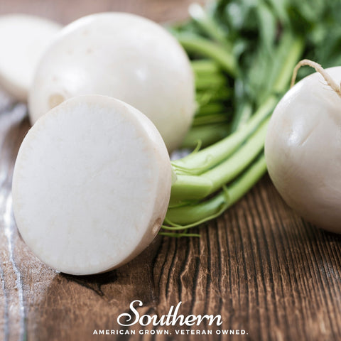 Hailstone Radish – 100 Seeds, additional product view 2