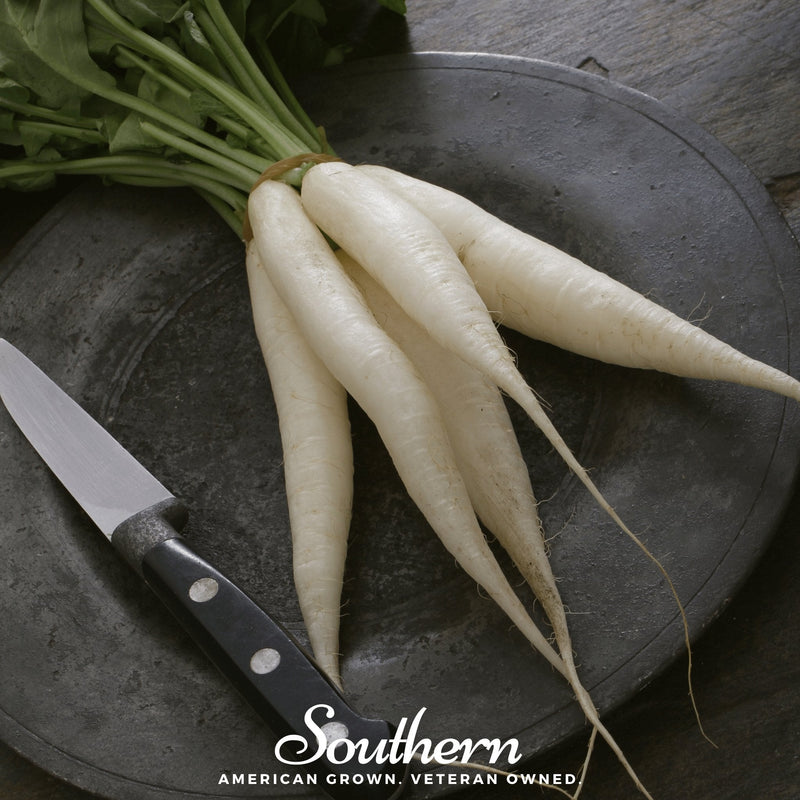 Load image into Gallery viewer, White Icicle Radish – 100 Seeds
