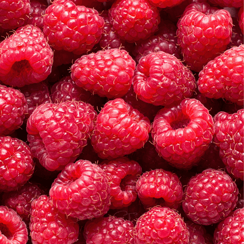 Red European Raspberry – 30 Seeds, additional product view 2