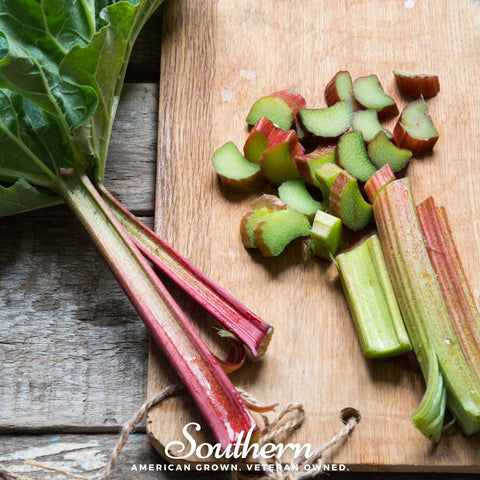 Glaskins Perpetual Rhubarb 30 Seeds
