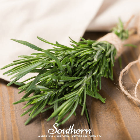 Rosemary – 50 Seeds, additional product view 2