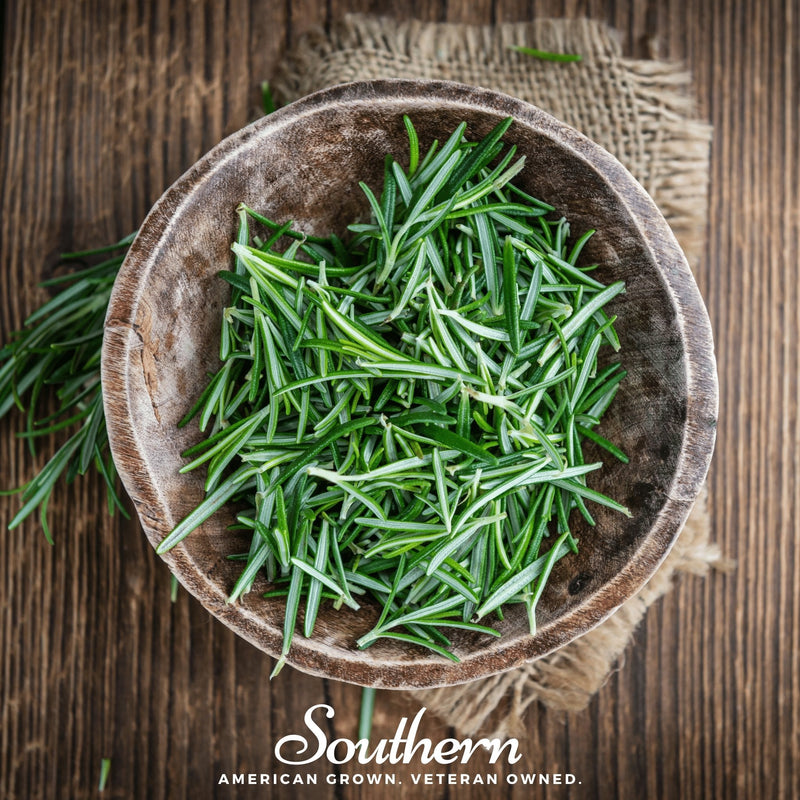 Load image into Gallery viewer, Rosemary – 50 Seeds
