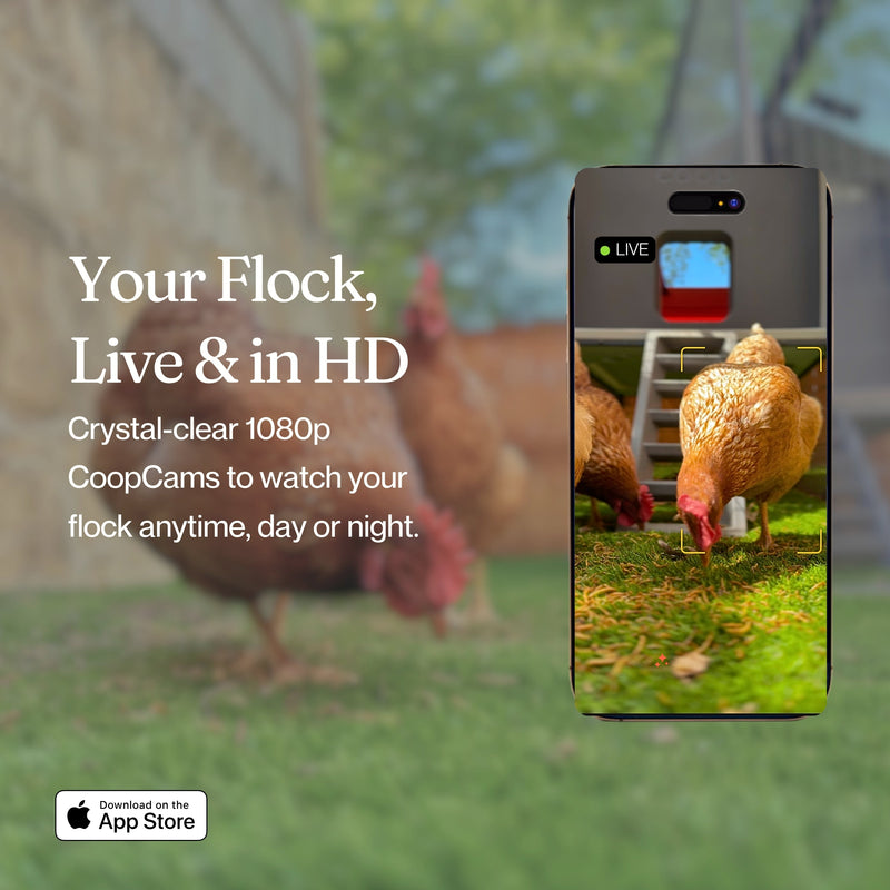 Load image into Gallery viewer, The Smart Coop AI Camera
