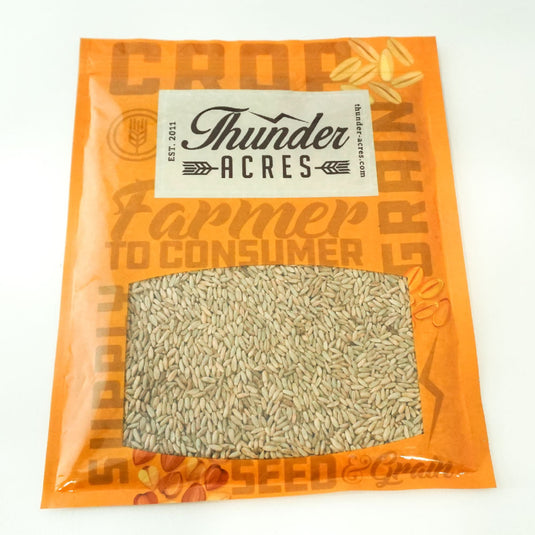 Organic Winter Rye Seeds, Non-GMO