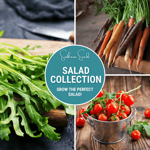 Salad Seed Collection 6 Varieties