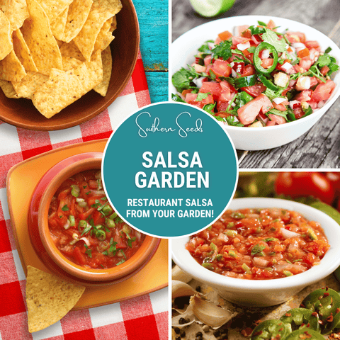 Salsa Seed Collection Restaurant Style 10 Amazing Varieties