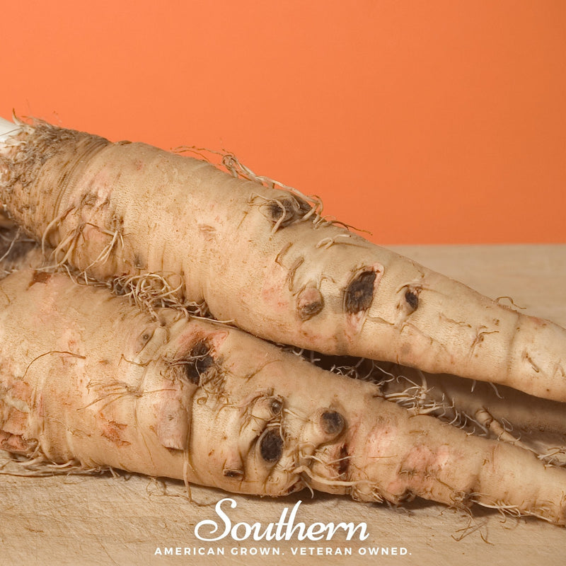 Load image into Gallery viewer, Mammoth Sandwich Island Salsify – 50 Seeds
