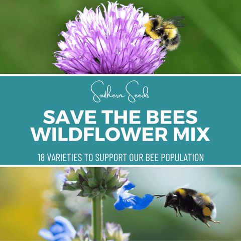 Save the Bees Wildflower Seed Mix 18 Varieties 1000 Seeds