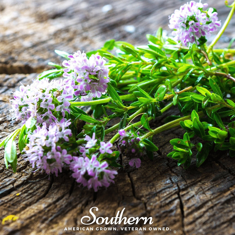 Load image into Gallery viewer, Summer Savory – 100 Seeds
