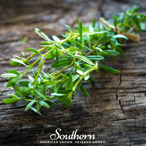 Summer Savory seeds package, 100 count, GrowTime Garden Supply