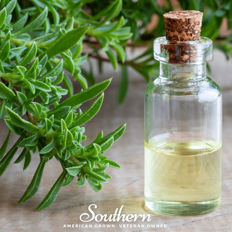 Load image into Gallery viewer, Winter Savory – 100 Seeds
