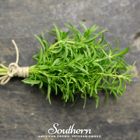 Winter Savory seeds package, 100 count, GrowTime Garden Supply