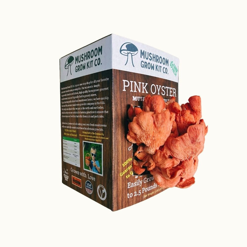 Load image into Gallery viewer, Pink Oyster Mushroom Growing Kit - 5 LBS Spray and Grow
