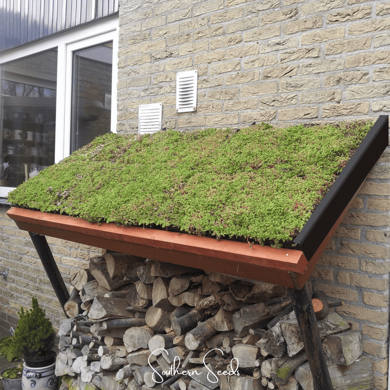 Load image into Gallery viewer, Sedum Roof Mix – 500 Seeds
