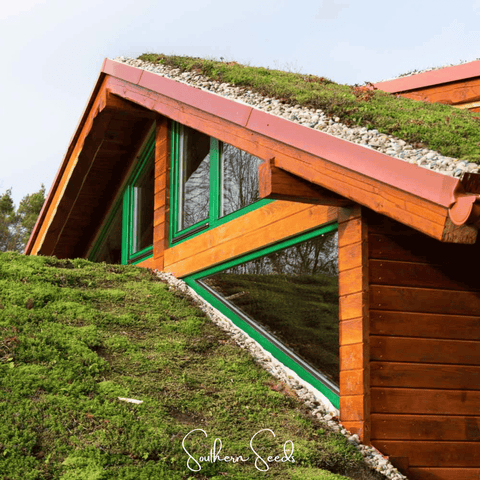 Sedum Roof Mix 500 Seeds