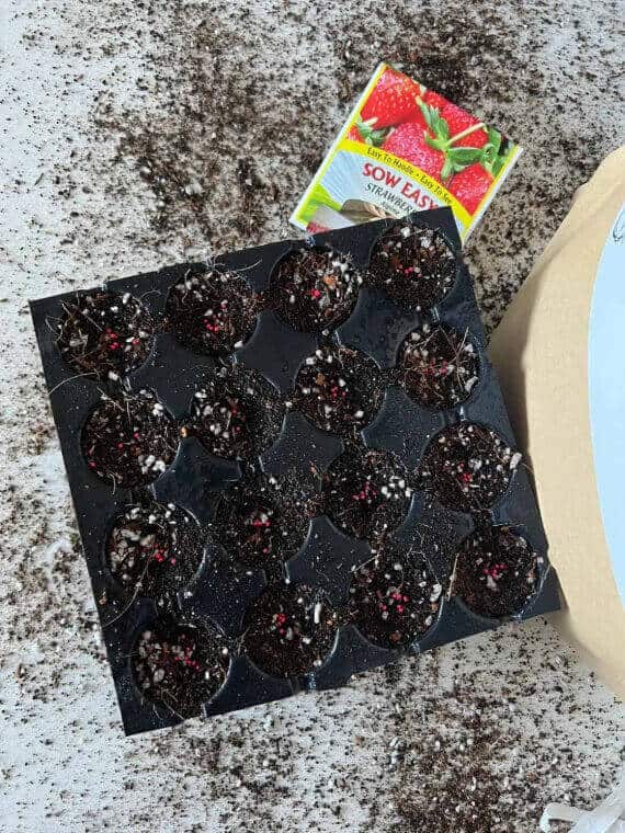 Load image into Gallery viewer, Seedling Mix for Seed Starting
