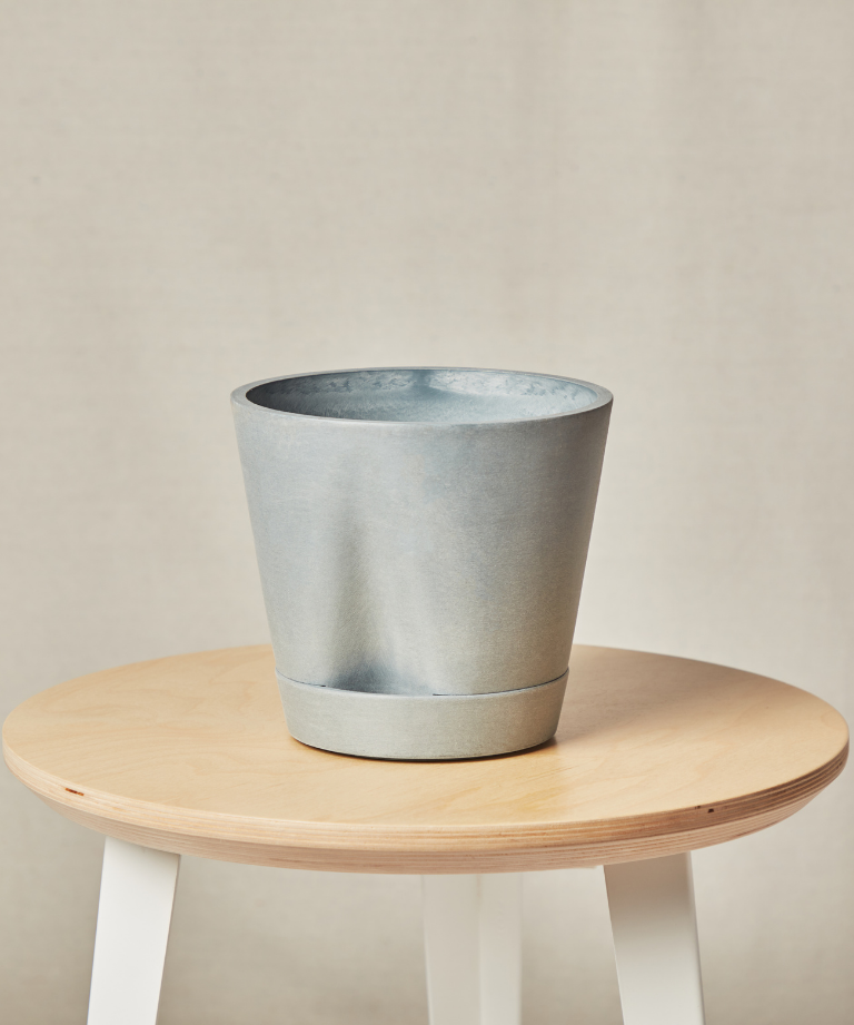 Load image into Gallery viewer, Monstera Thai Constellation
