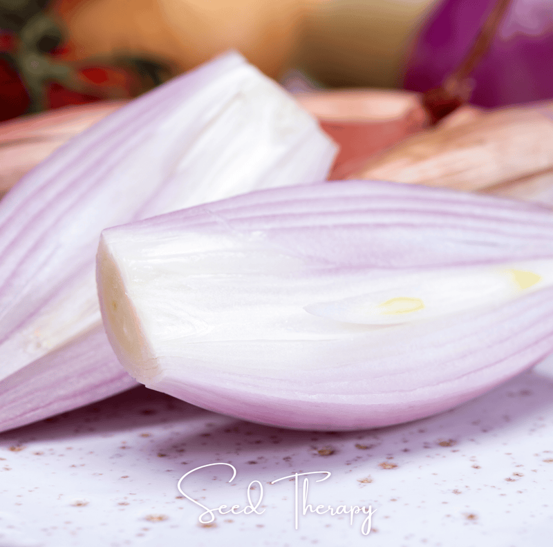 Load image into Gallery viewer, Zebrune Shallot – 25 Seeds
