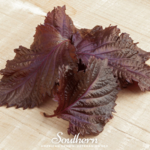 Red Shiso seeds package, 200 count, GrowTime Garden Supply