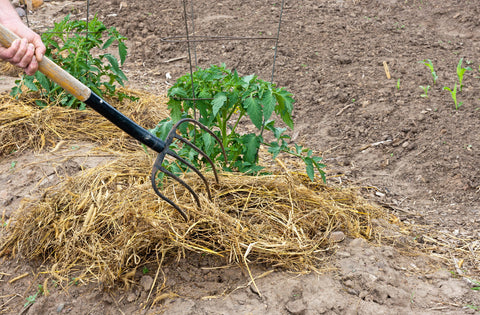 100% Natural Wheat Straw, additional product view 2