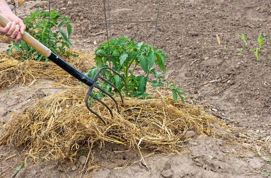 100% Natural Wheat Straw