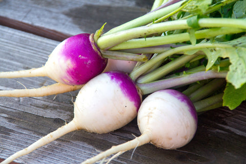 Thunder Acres Purple Top Turnips Seeds, additional product view 2