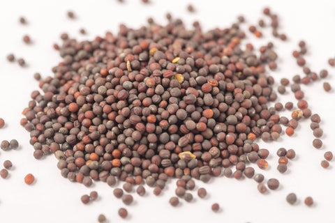 Purple Top turnip seeds for home vegetable gardens.
