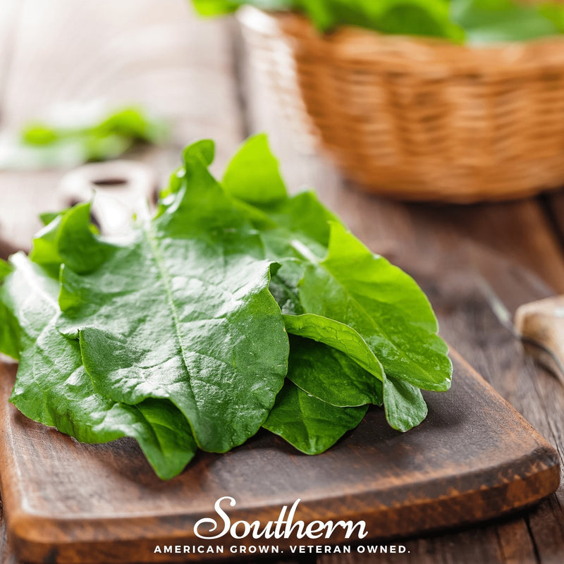 Load image into Gallery viewer, Garden Sorrel – 200 Seeds
