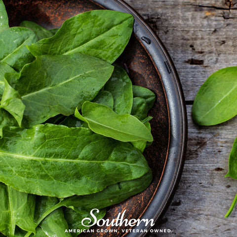 Garden Sorrel – 200 Seeds, additional product view 2