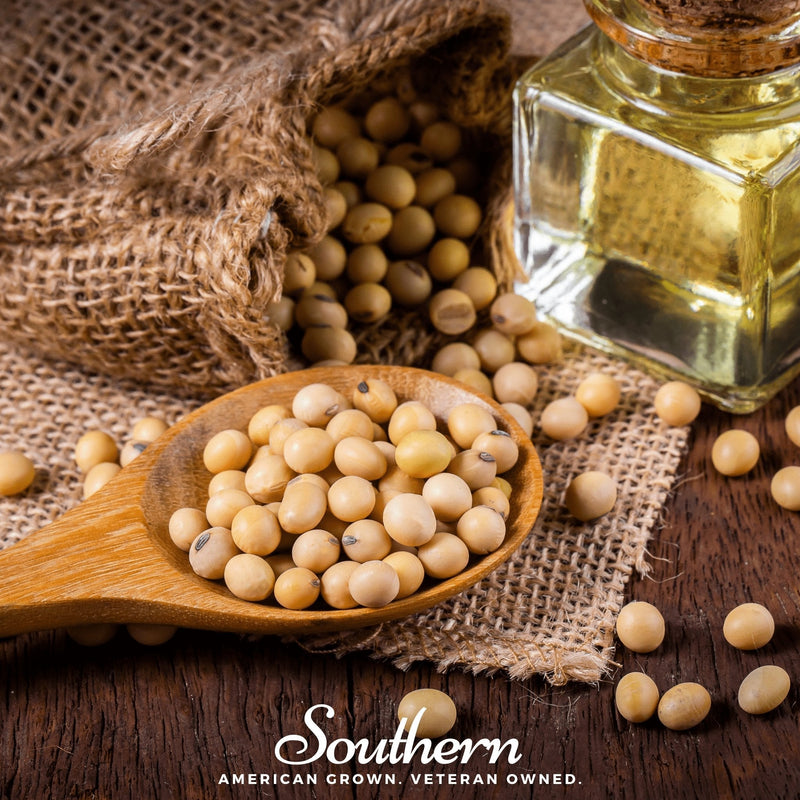 Load image into Gallery viewer, Tohya Soybean – 50 Seeds
