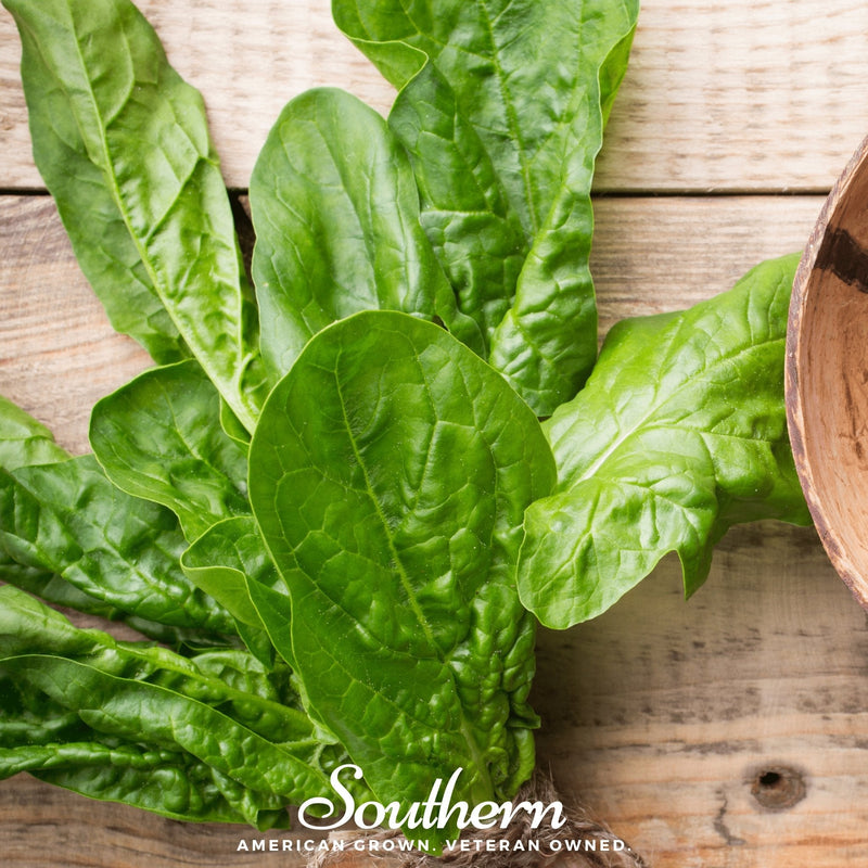 Load image into Gallery viewer, Giant Noble Spinach – 150 Seeds
