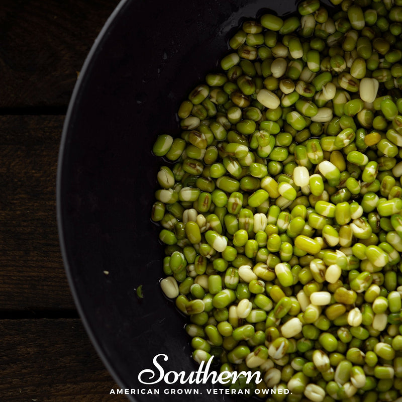 Load image into Gallery viewer, Mung Beans Sprout – 500 Seeds
