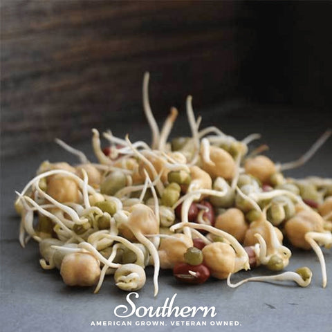 Protein Mix Sprout seeds package, 1 ounce, GrowTime Garden Supply