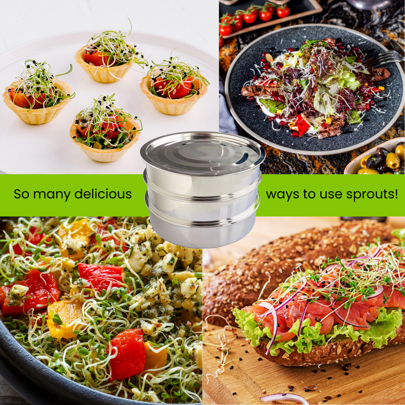 Load image into Gallery viewer, Stainless Steel Seed Sprouter Kit - Stackable 3-Tier Trays
