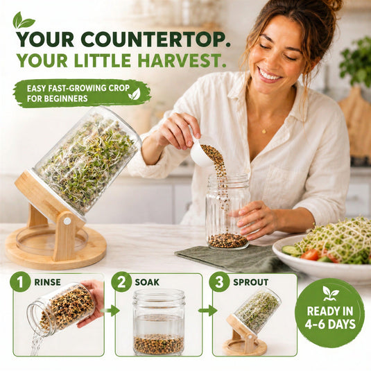 Mixed Sprouting Seeds Organic