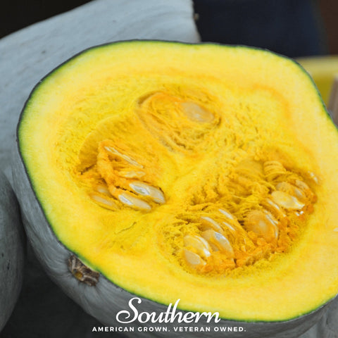 Blue Hubbard Winter Squash – 20 Seeds, additional product view 2