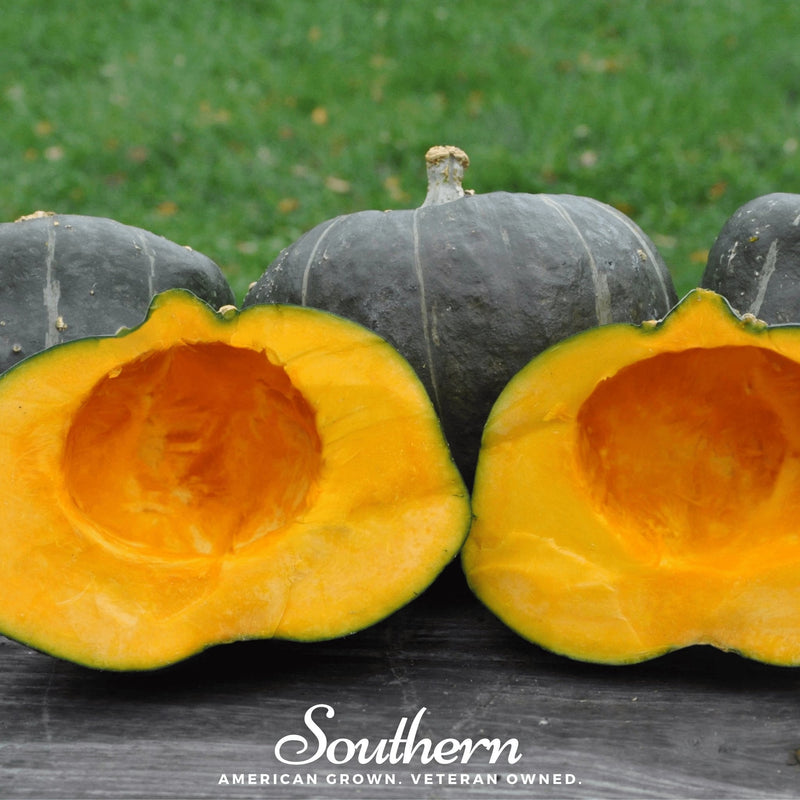 Load image into Gallery viewer, Buttercup Burgess Winter Squash – 20 Seeds
