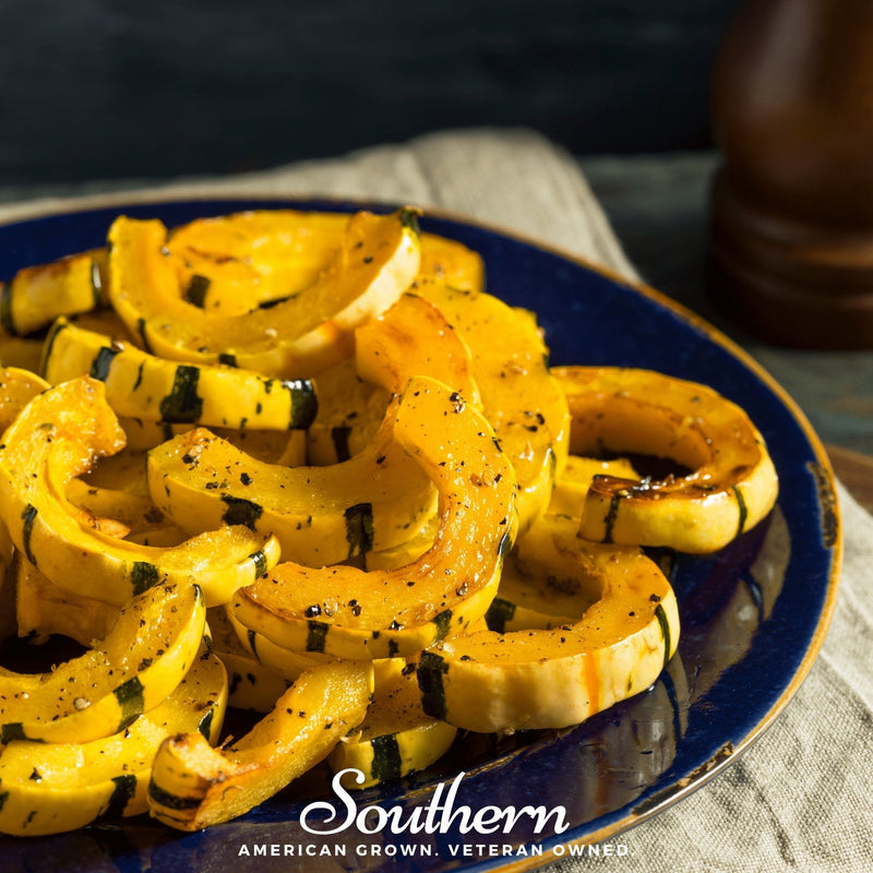 Load image into Gallery viewer, Delicata Squash – 20 Seeds
