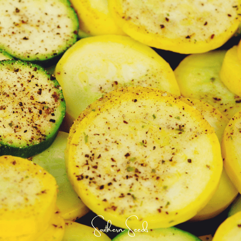 Early Prolific Straightneck Squash – 25 Seeds, additional product view 2