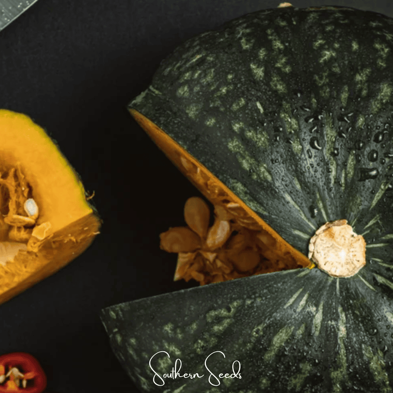 Load image into Gallery viewer, Black Forest Kabocha Squash – 10 Seeds
